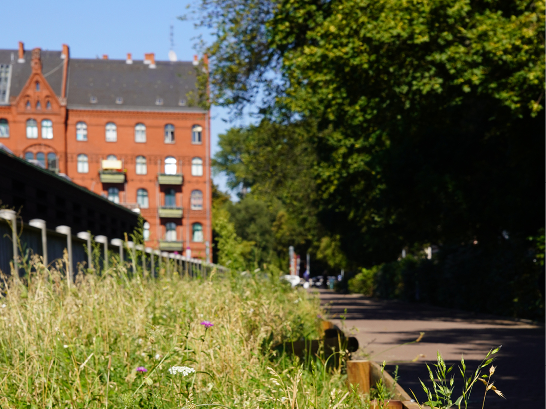 © Mitmach-Aktionen rund um den neuen Kiezraum