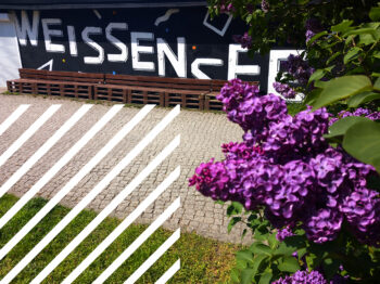 © Park am Weißen See: WEISSER SEE – GRÜNES UFER