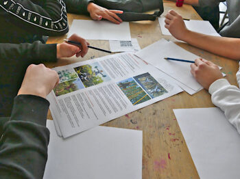 © Von der Idee zur Umsetzung – ein nachhaltiger Schulhof für das Thomas-Mann-Gymnasium